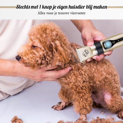 Hondentondeuse met hond 